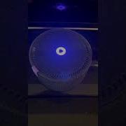 Алиса Скажи Отсутствует Подключение К Интернету