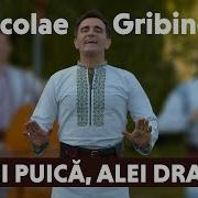 Nicolae Gribincea Alei Puica Alei Draga