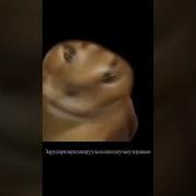 Бит Бокс Батл С Кактусом