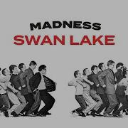 Madness Swan Lake