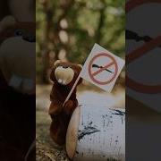 Песня Про Славу И Надю