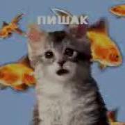 Ман Мегум Як Киса Аз Як Киса Як Хиса