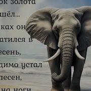А У Моря На Писке