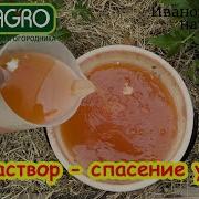 Помидор И Огурец
