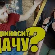 Live Looping Про Голубя