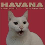 Havana Camila Cabello By Cats Despacito Shape Of You More Best Hits