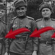 Дивизия Чёрных Ножей