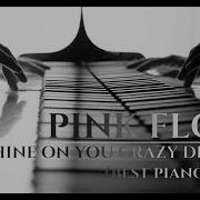 Evgeny Khmara Pink Floyd