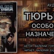Валерий Горшков Аудиокниги
