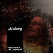 Widerberg Destroying The Commons