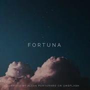 Free For Profit Fortuna