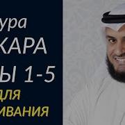 Сура Аль Бакара 1 5 Мишари Рашид