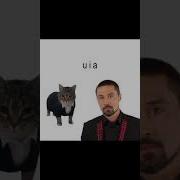 Это Ты Это Я Между Нами Uia