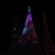 Plastic Tree Synchronize