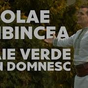 Foaie Verde Lemn Domnesc