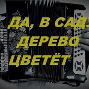 Да В Саду Дерево Цветёт Казачья Строевая Песня Видеоурок Игры На Гармони Для Начинающих