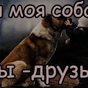 Лучший Друг Собака