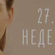 27 Неделя Беременности