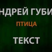 Андрей Губин Улетай Текст