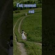 Гурт Зелений Гай