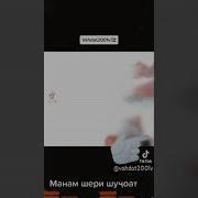 Манам Шери Шучоат