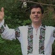 Rusu Igor Hora De Nunta