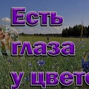 Есть Глаза У Цветов Караоке