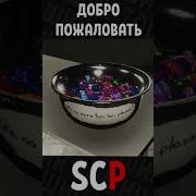 Крик Как Сирена Из Добро Пожаловать Или