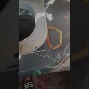 Курица В Авне Утонула