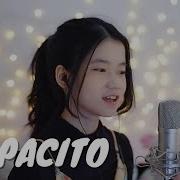 Despacito Shania Yan Cover