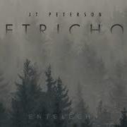 J T Peterson Entelechy