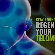 Stay Young Forever Telomere Regeneration