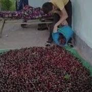 Стас Денисов Мой Дом Солнечный Ташкент