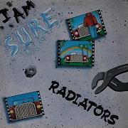 Radiators 1984 Rare Italo Disco