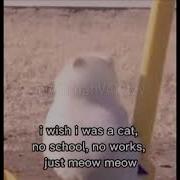 Мем Meow Meow