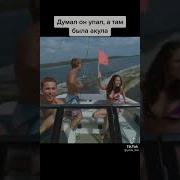 Думал Он Упал А Там Была Акула