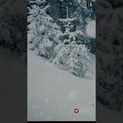 Плейлист Понедельника