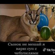 Мама Полотенце Обосралось