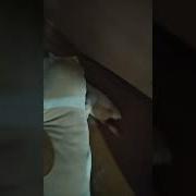 Красная Плесень Маленький Мальчик На Лифте Катался