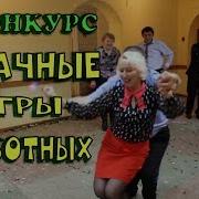 Конкурс Брачные Танцы Животных