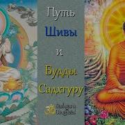 Путь Шивы И Будды Садхгуру