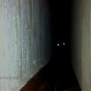 Коридор Кот Скример