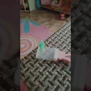 Кто Мои Пирожки Съел Я Не Ел Я Не Ел
