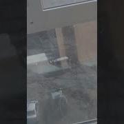 Один Американец Засунуть В Жопу Палец И Вытащил От Туда