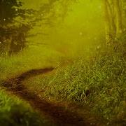 The Ambientalist Mysteries Unfold