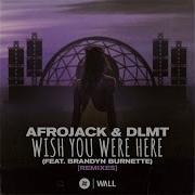 Dlmt Wish You Were Here Feat Brandyn Burnette Karim Meknassi Remix