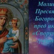 Молитва О Прощении Грехов В Божьей Матери Споручница Грешных