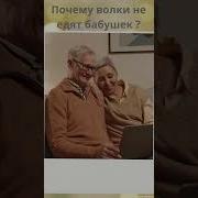 Почему Волки Не Едят Бабушек