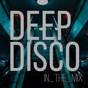 Deep House Disco Mix 2024