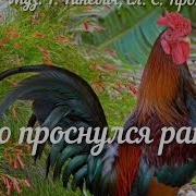 Кто Проснулся Рано Петушок